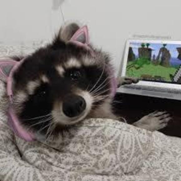 2kawaii2cry